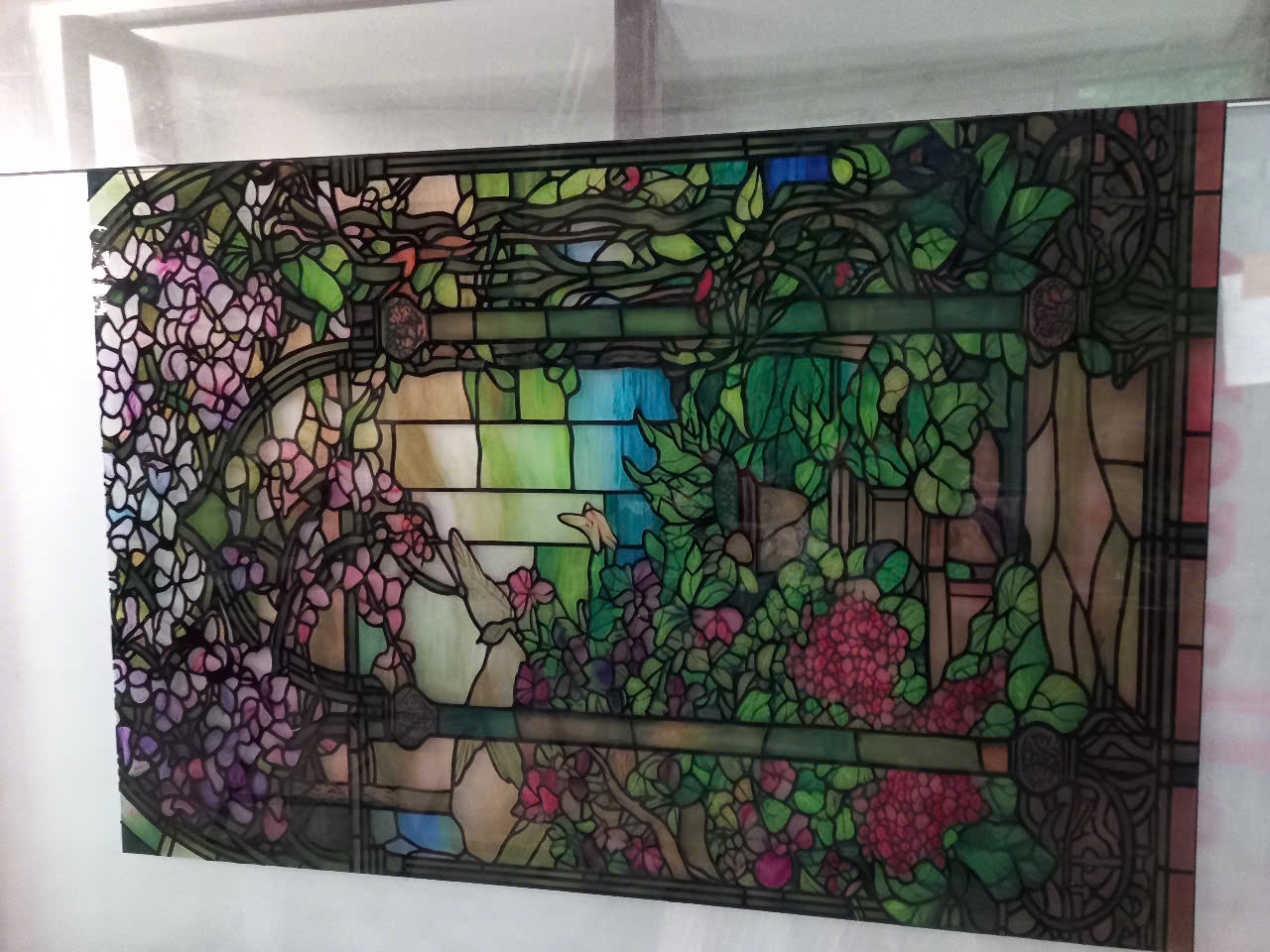 z6542672988054 6592c867405a9bc413c960e8017b6619